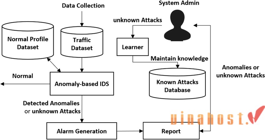 [2026] IDS là gì? | So sánh giữa IDS, IPS và tường lửa