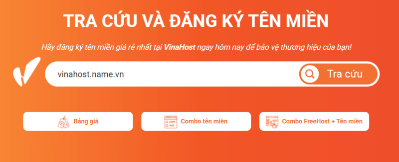 ten mien .name.vn la gi
