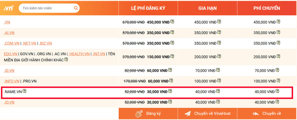 ten mien .name.vn la gi