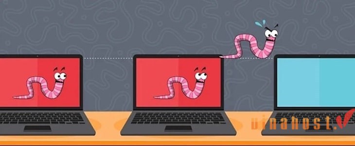 worm la gi