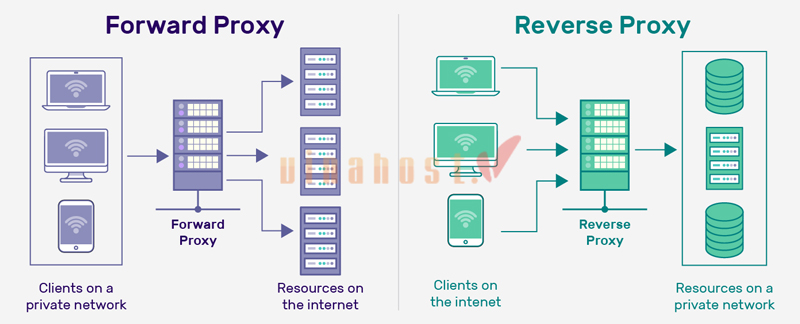 reverse proxy