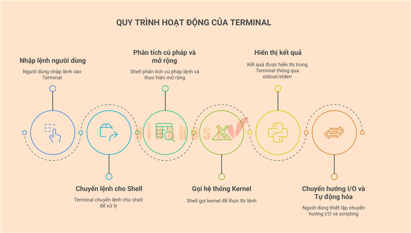 terminal la gi