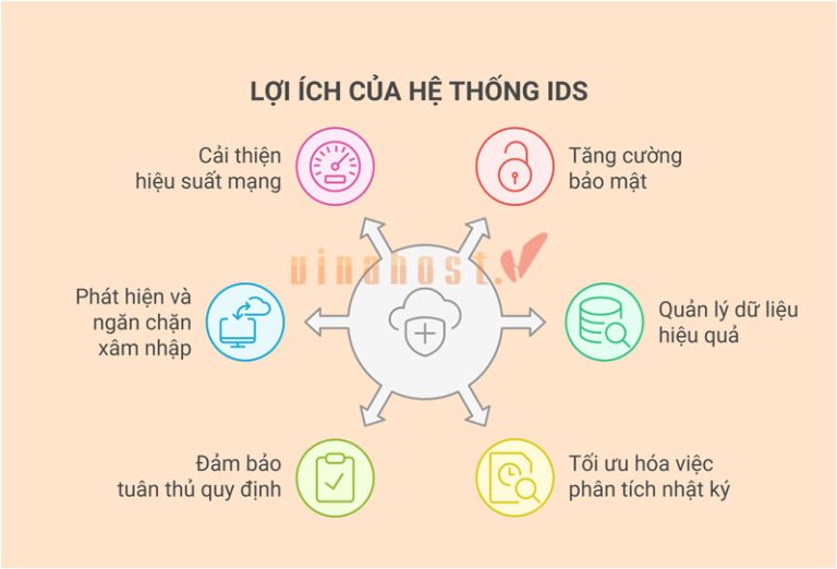 [2026] IDS là gì? | So sánh giữa IDS, IPS và tường lửa