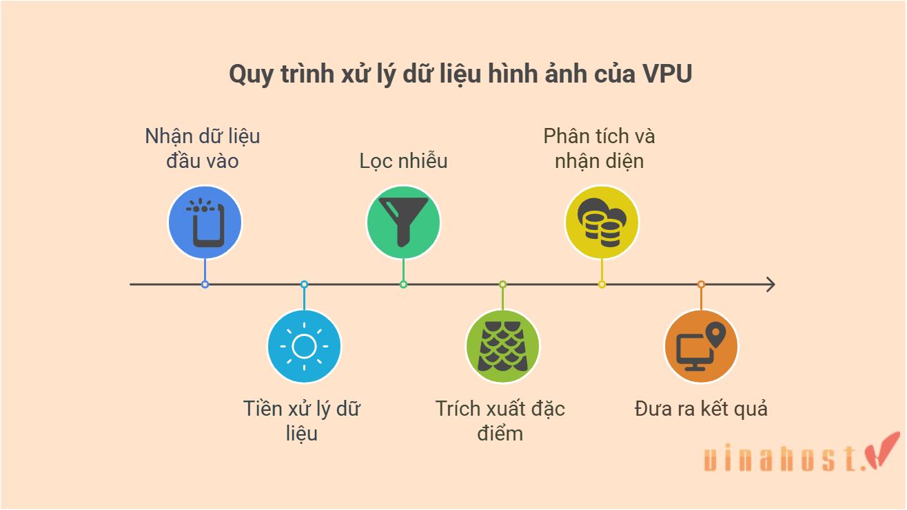 vpu la gi
