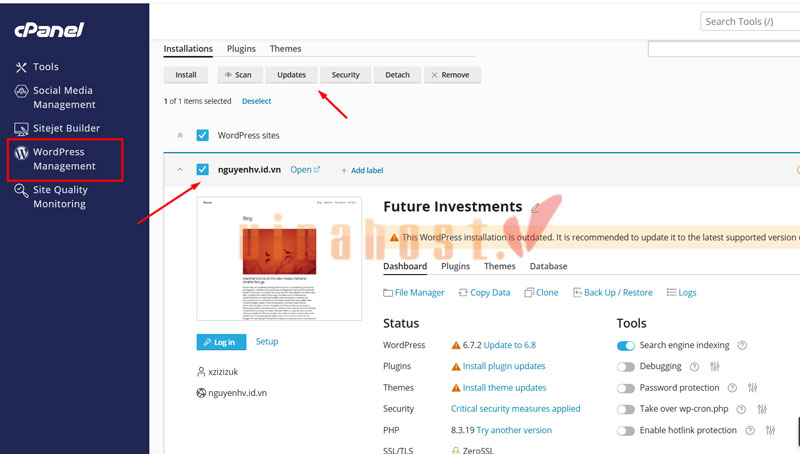 WordPress 6.8