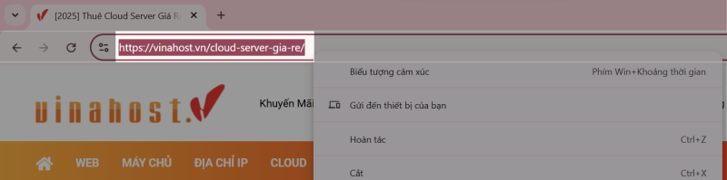 url la gi 8 1 - #1 Hosting Giá Rẻ, VPS Giá Rẻ, Máy Chủ Vật Lý, Email, Cloud Server url la gi