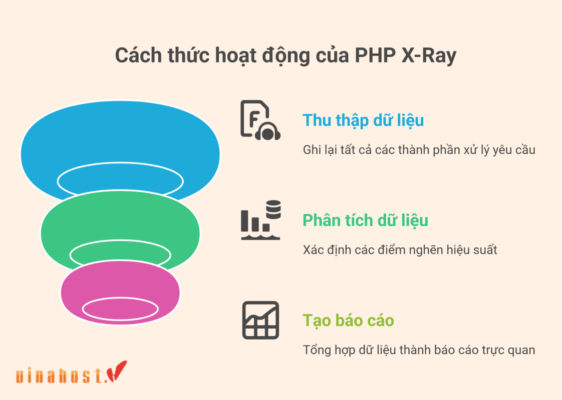 php x-ray la gi