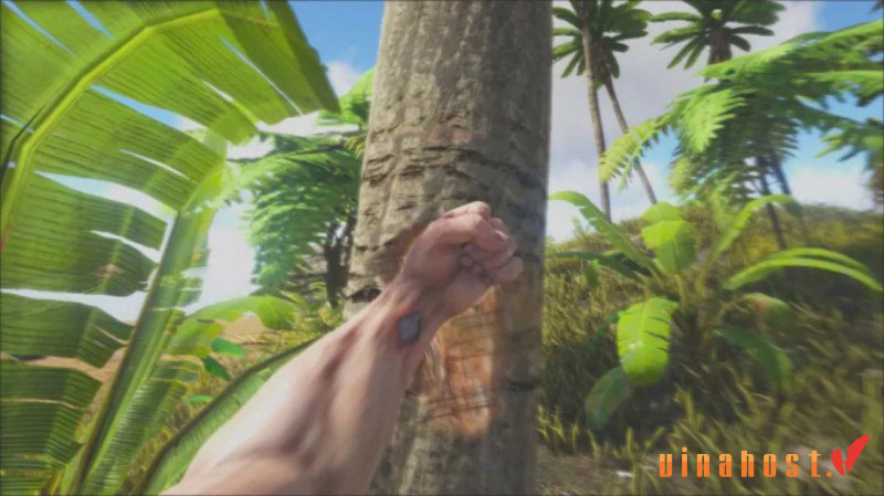 ark survival evolved 11 - #1 Hosting Giá Rẻ, VPS Giá Rẻ, Máy Chủ Vật Lý, Email, Cloud Server ARK Survival Evolved