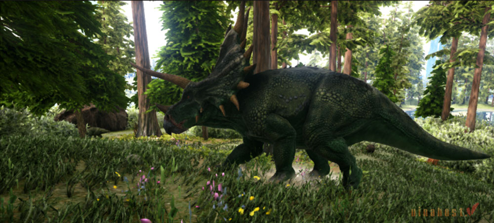 huong dan ket noi vps ark 14 - #1 Hosting Giá Rẻ, VPS Giá Rẻ, Máy Chủ Vật Lý, Email, Cloud Server huong dan ket noi vps ark