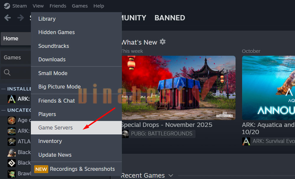 huong dan ket noi vps ark