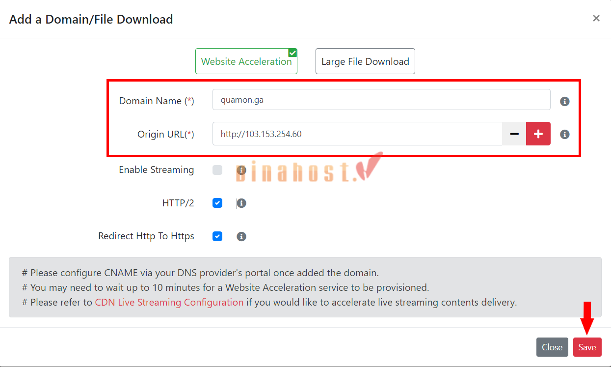 video cdn 11 - #1 Hosting Giá Rẻ, VPS Giá Rẻ, Máy Chủ Vật Lý, Email, Cloud Server Nhập chính xác tên miền chính và địa chỉ IP máy chủ gốc, sau đó nhấn Save để lưu lại.