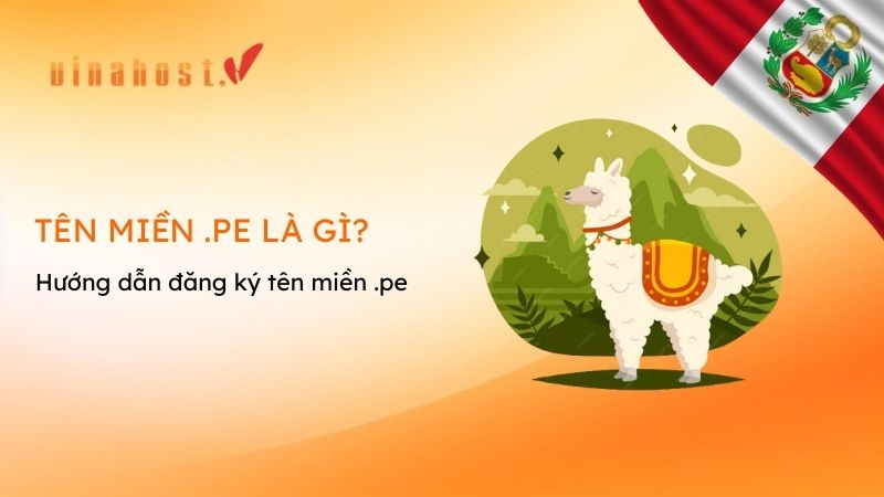 dang ky ten mien .pe