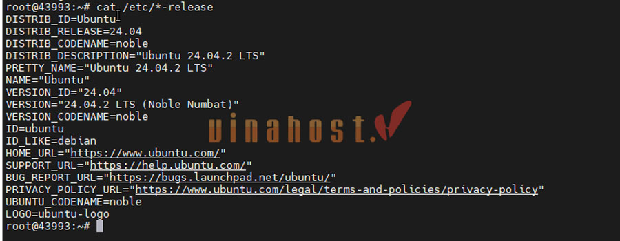 kiem tra cau hinh vps 12 - #1 Hosting Giá Rẻ, VPS Giá Rẻ, Máy Chủ Vật Lý, Email, Cloud Server kiểm tra cấu hình vps