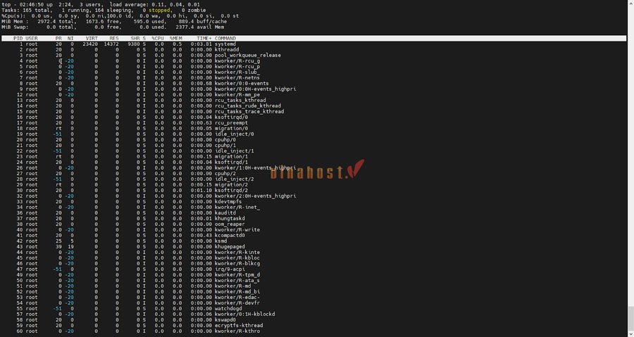 kiem tra cau hinh vps 13 - #1 Hosting Giá Rẻ, VPS Giá Rẻ, Máy Chủ Vật Lý, Email, Cloud Server kiểm tra cấu hình vps