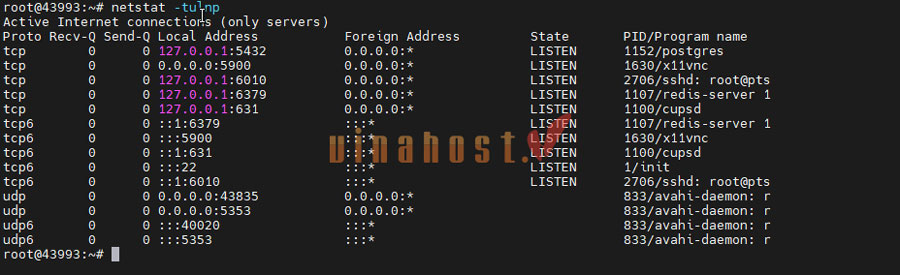 kiem tra cau hinh vps 17 - #1 Hosting Giá Rẻ, VPS Giá Rẻ, Máy Chủ Vật Lý, Email, Cloud Server kiểm tra cấu hình vps