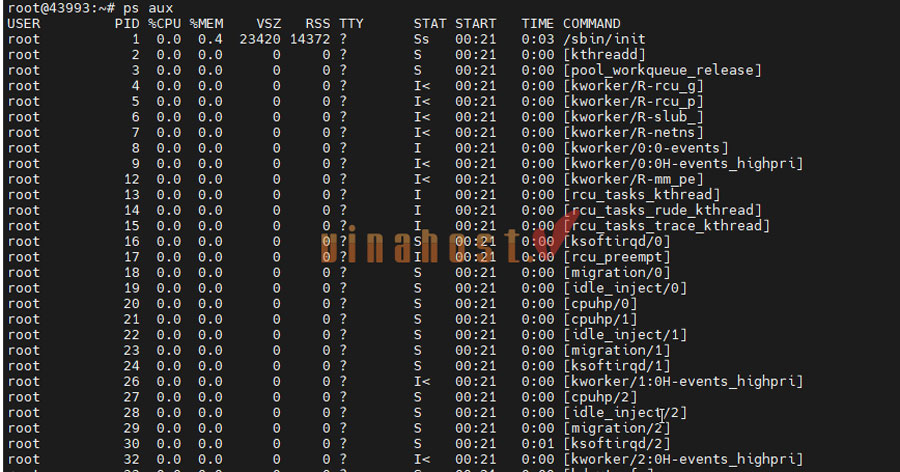 kiem tra cau hinh vps 18 - #1 Hosting Giá Rẻ, VPS Giá Rẻ, Máy Chủ Vật Lý, Email, Cloud Server kiểm tra cấu hình vps