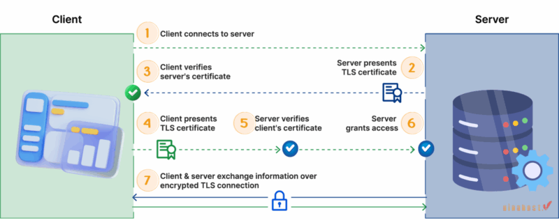 Quy trình bắt tay trong mTLS đảm bảo cả hai đầu nối đều được xác thực trước khi dữ liệu di chuyển.