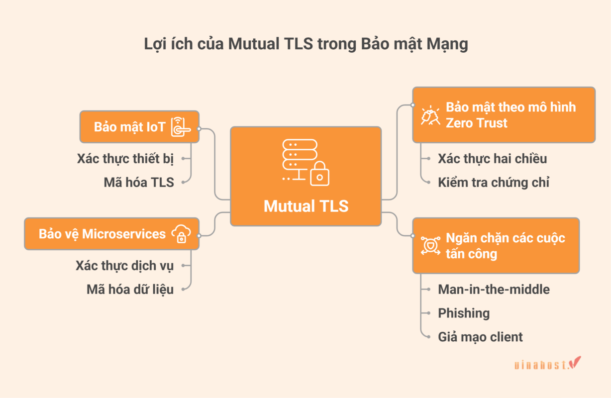 4 lợi ích cốt lõi khi triển khai kiến trúc bảo mật mTLS.