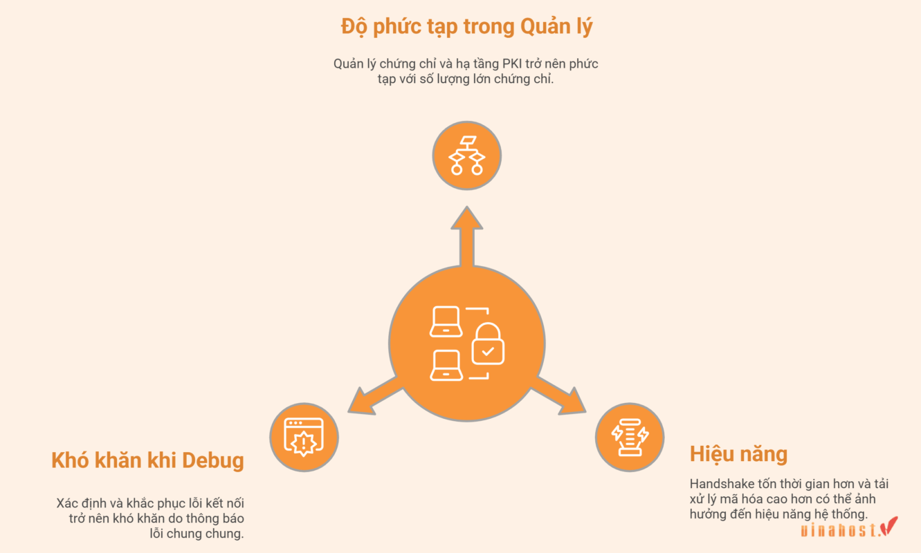 Triển khai mTLS đòi hỏi sự cân bằng giữa bảo mật và hiệu năng hệ thống.