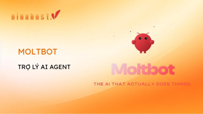 Moltbot là gì? Cách cài đặt và cấu hình cơ bản cho người mới