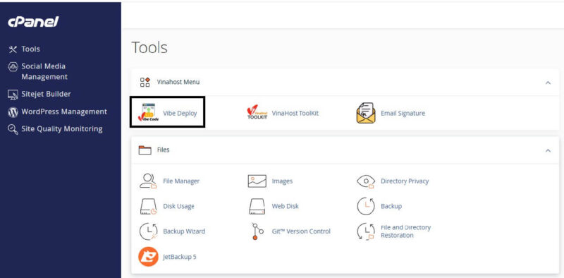 Hướng dẫn sử dụng Hosting Vibe Coding