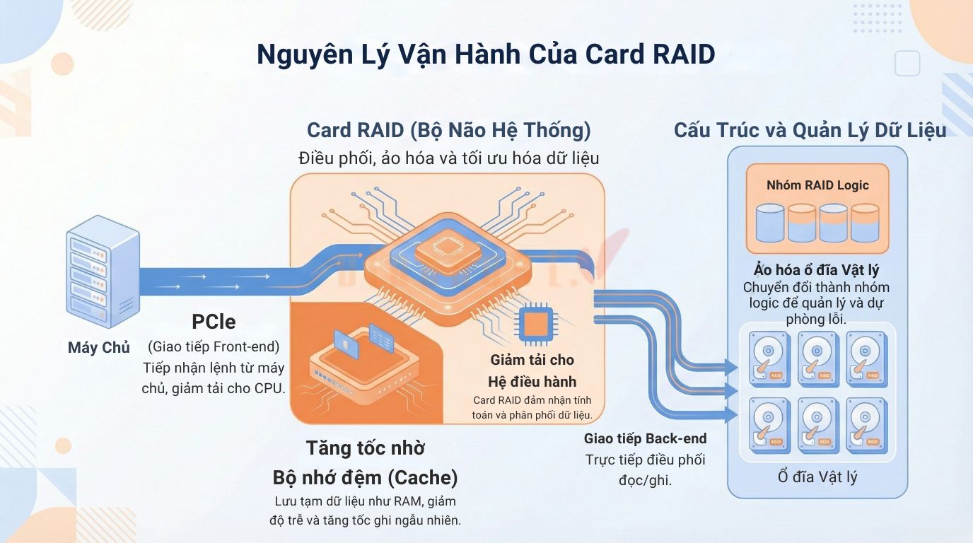 card raid la gi 3 - #1 Hosting Giá Rẻ, VPS Giá Rẻ, Máy Chủ Vật Lý, Email, Cloud Server Cơ chế vận hành của Card RAID
