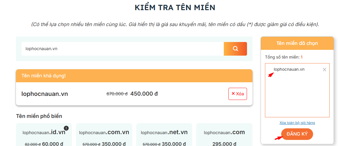hướng dẫn đăng ký tên miền tổ chức