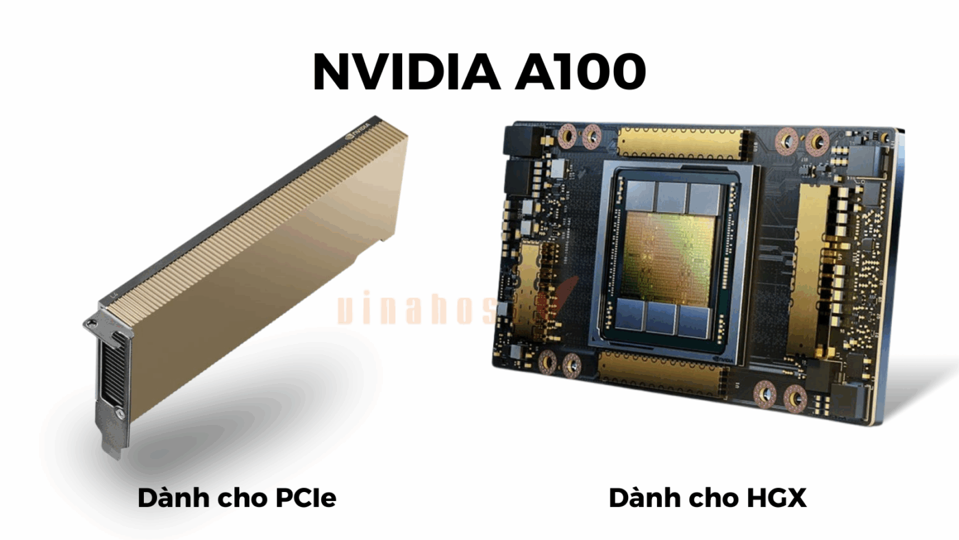 nvidia a100 h100 h200 1 - #1 Hosting Giá Rẻ, VPS Giá Rẻ, Máy Chủ Vật Lý, Email, Cloud Server nvidia a100 h100 & h200