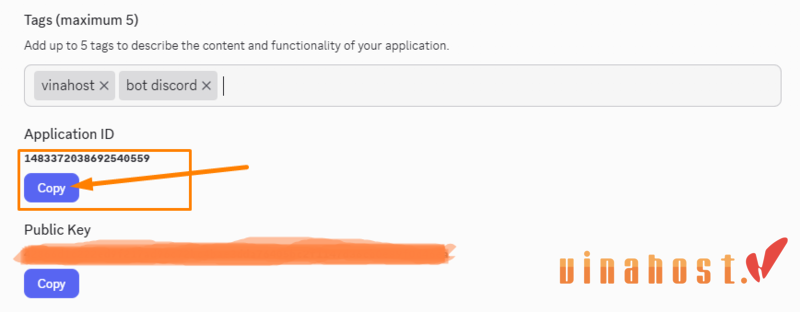 các bước hướng dẫn cài đặt discord-bot hosting