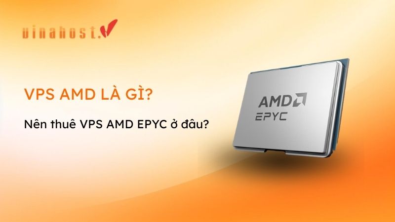 vps amd là gì