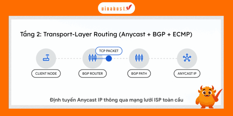 Tầng 2: Transport-Layer Routing (Anycast + BGP + ECMP)