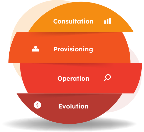 vinahost services model