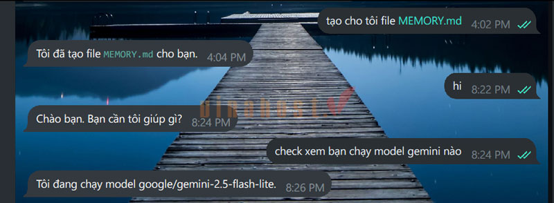 hướng dẫn sử dụng vps openclaw