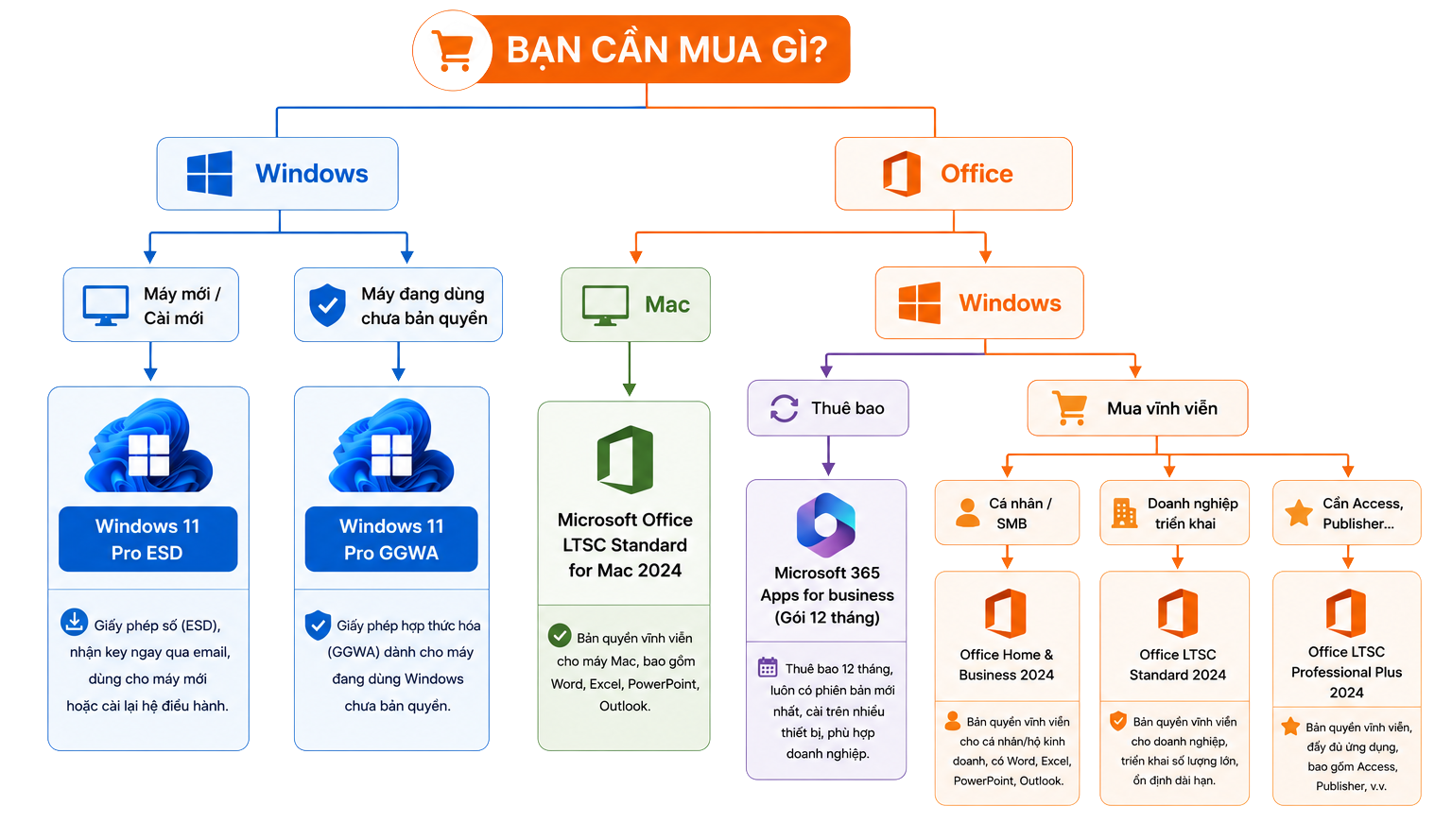 Hướng dẫn lựa chọn mua bản quyền Windows 11 Pro và Microsoft Office vĩnh viễn tối ưu chi phí cho doanh nghiệp