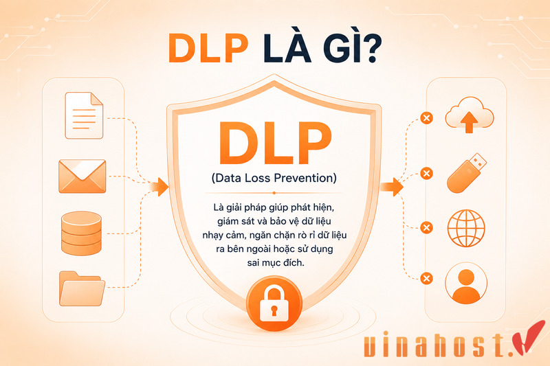 DLP là gì
