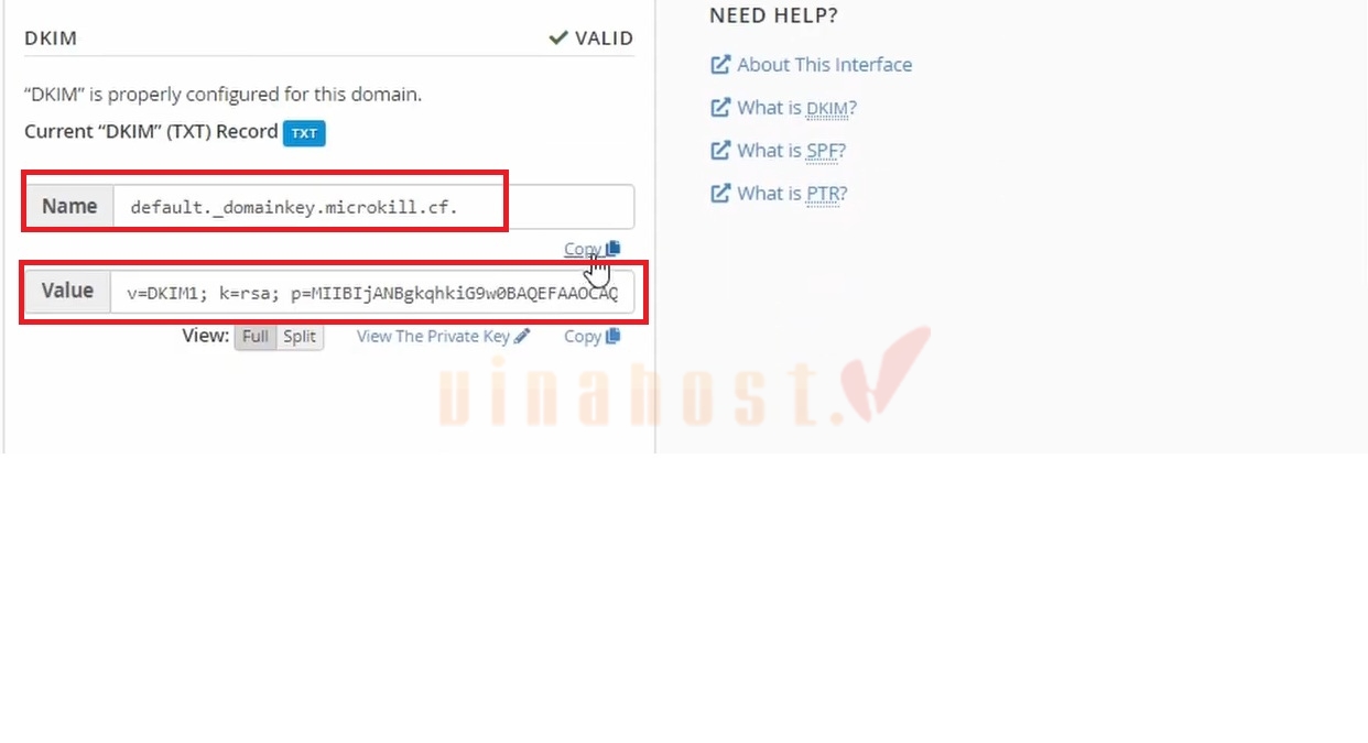 cai dat record dkim va spf 8 - #1 Hosting Giá Rẻ, VPS Giá Rẻ, Máy Chủ Vật Lý, Email, Cloud Server Hướng dẫn lấy Record SPF và DKIM từ Email Hosting