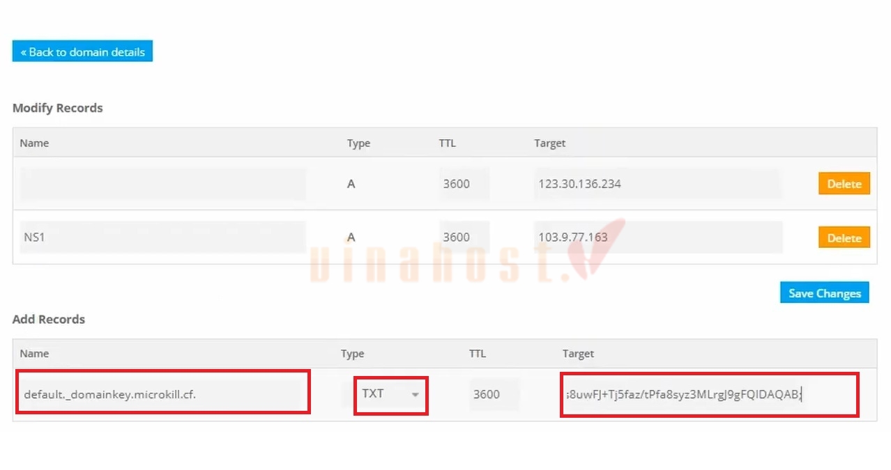 cai dat record dkim va spf 9 - #1 Hosting Giá Rẻ, VPS Giá Rẻ, Máy Chủ Vật Lý, Email, Cloud Server Hướng dẫn cài đặt Record DKIM cho tên miền