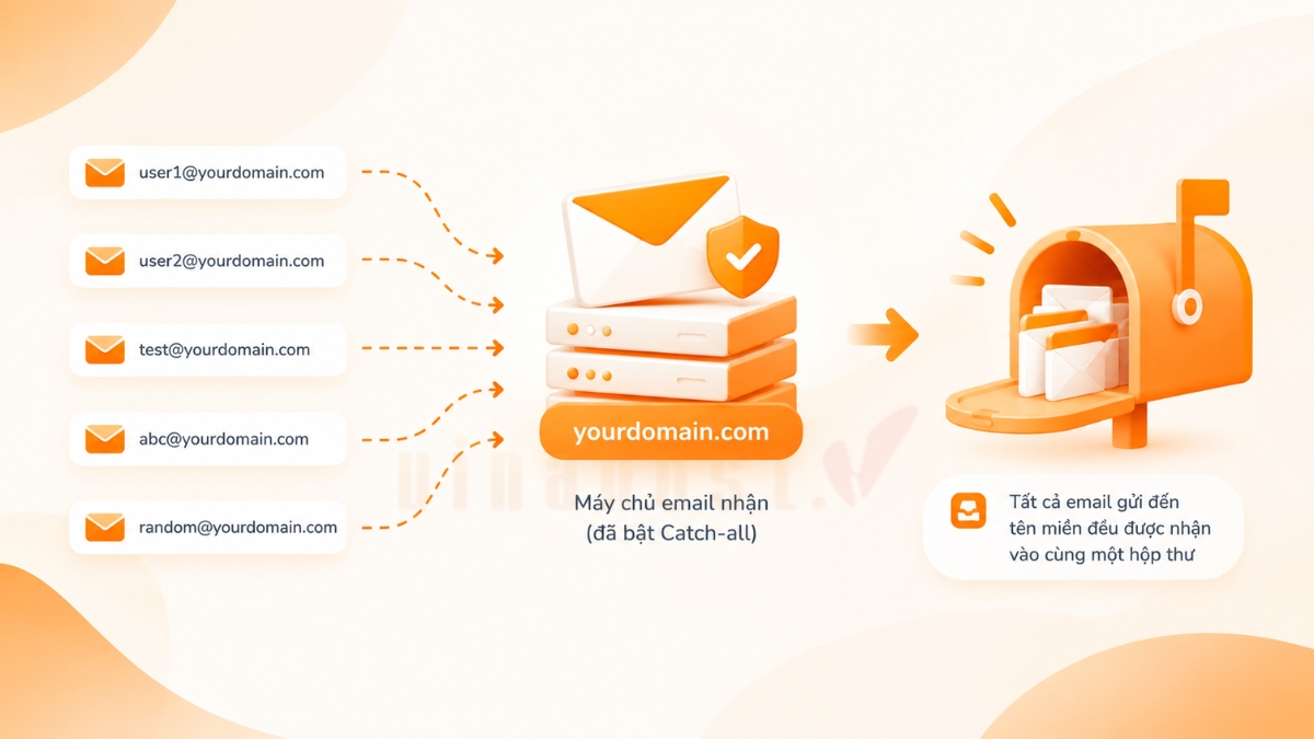 cau hinh catch all email 1 - #1 Hosting Giá Rẻ, VPS Giá Rẻ, Máy Chủ Vật Lý, Email, Cloud Server Catch-all Email là tính năng tự động nhận email gửi đến các địa chỉ chưa tồn tại trong cùng tên miền về một hộp thư được chỉ định.
